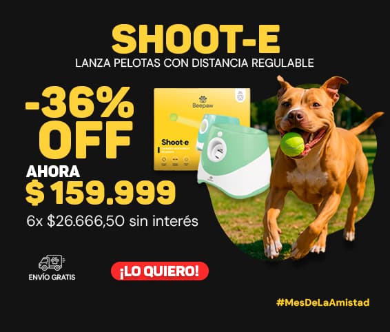 SHOOT-E