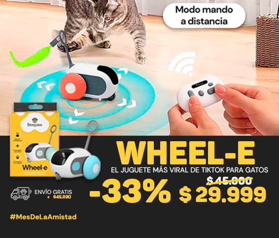 WHEEL-E