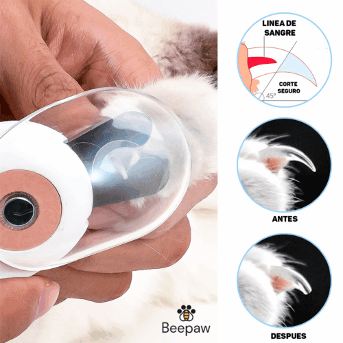 Producto para mascotas – Beepex Pet Shop Argentina – Tienda online Buenos Aires