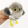 Producto para mascotas – Beepex Pet Shop Argentina – Tienda online Buenos Aires