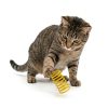 Producto para mascotas – Beepex Pet Shop Argentina