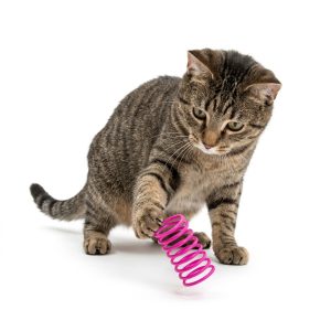 JUGUETE RESORTE PARA GATOS 3X6 CM ROSA