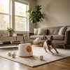 Producto para mascotas – Beepex Pet Shop Argentina